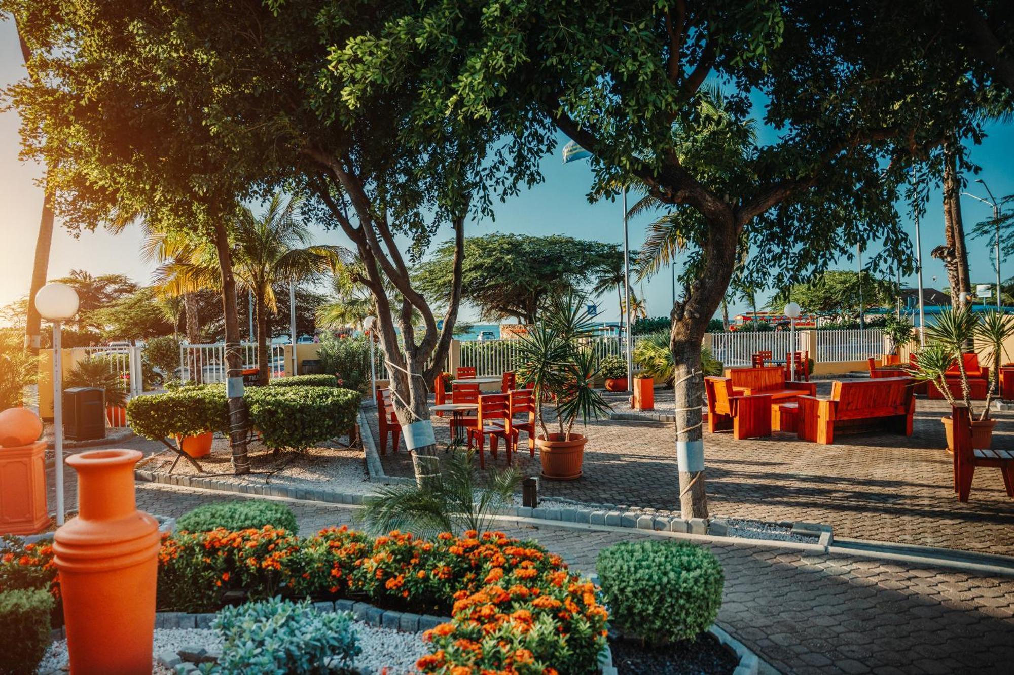 Mvc Eagle Beach Palm Beach Exteriör bild