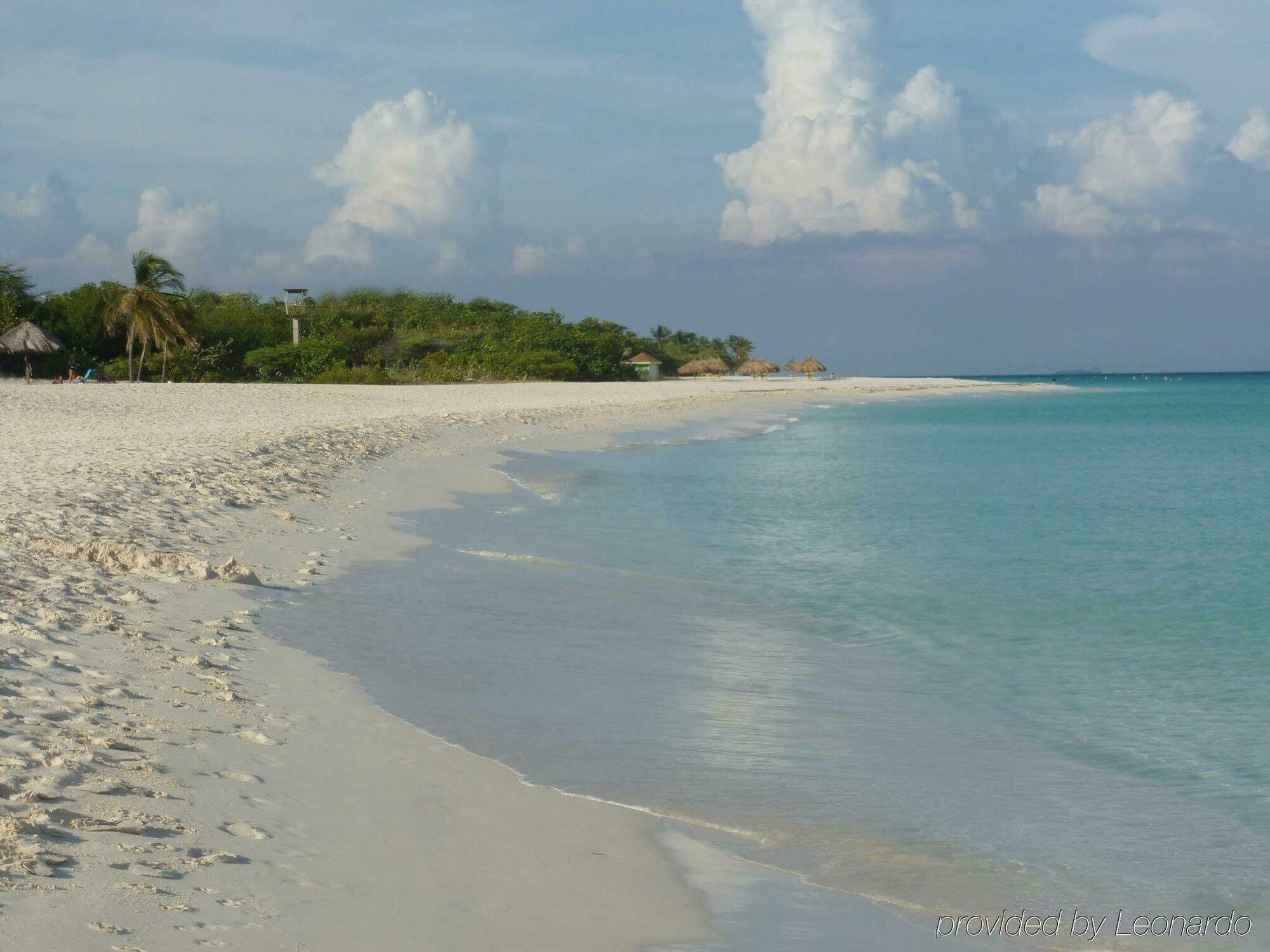 Mvc Eagle Beach Palm Beach Exteriör bild